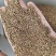 地肤子中药材正品地肤子干净无杂质实图拍摄量大从优