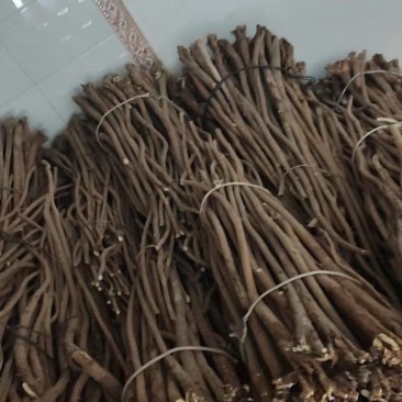 好货推荐黄芪基地直发对接电商市场规格多保证质量