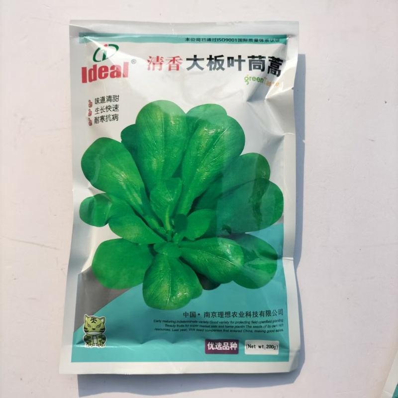 大叶茼蒿种子，茼蒿种子，大叶桐高种子筒篙种子大叶筒篙种子