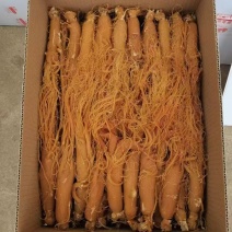 长白山红参，保质保量***，一手货源产地发货