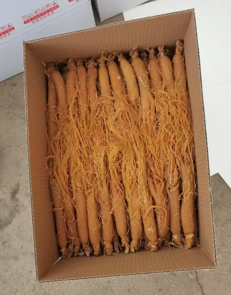 长白山红参，保质保量***，一手货源产地发货