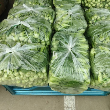 精品青梗菜