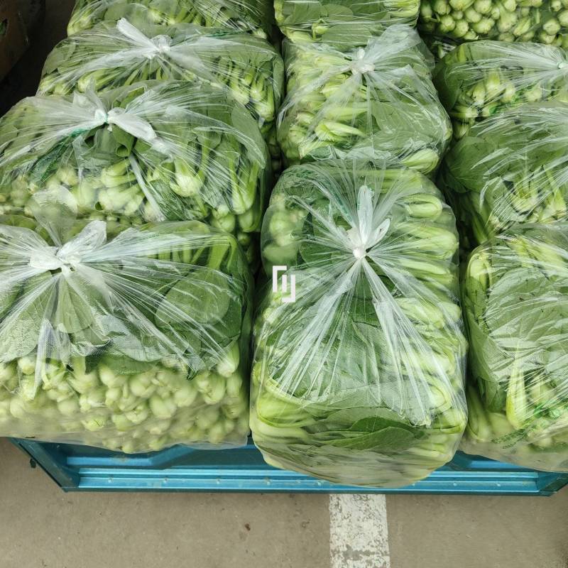 精品青梗菜