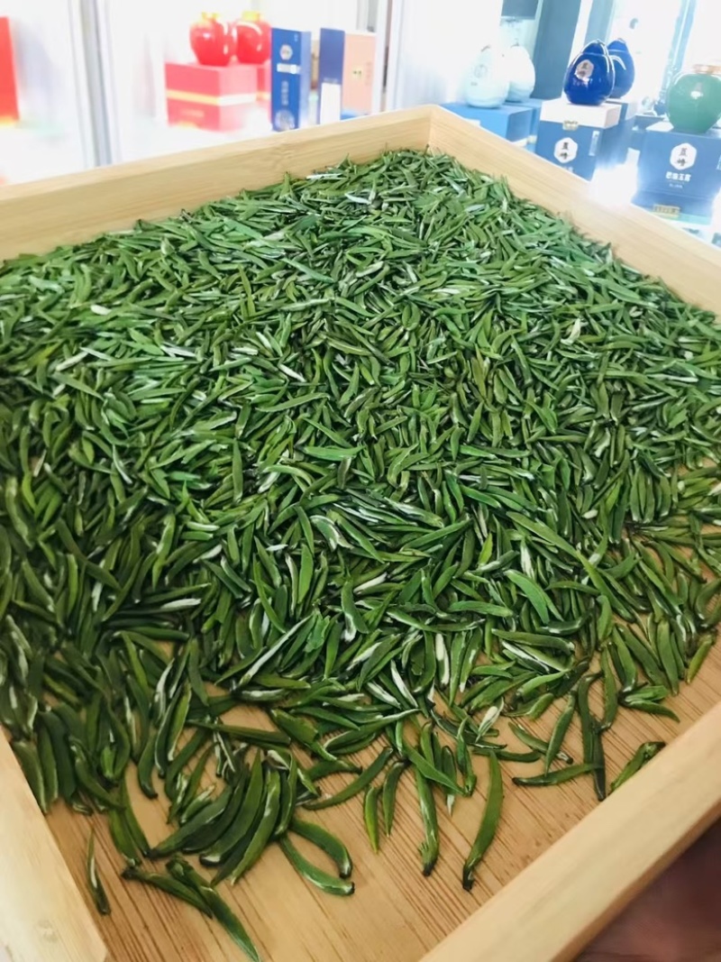 恩施高山特级雀舌