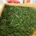 恩施高山特级雀舌
