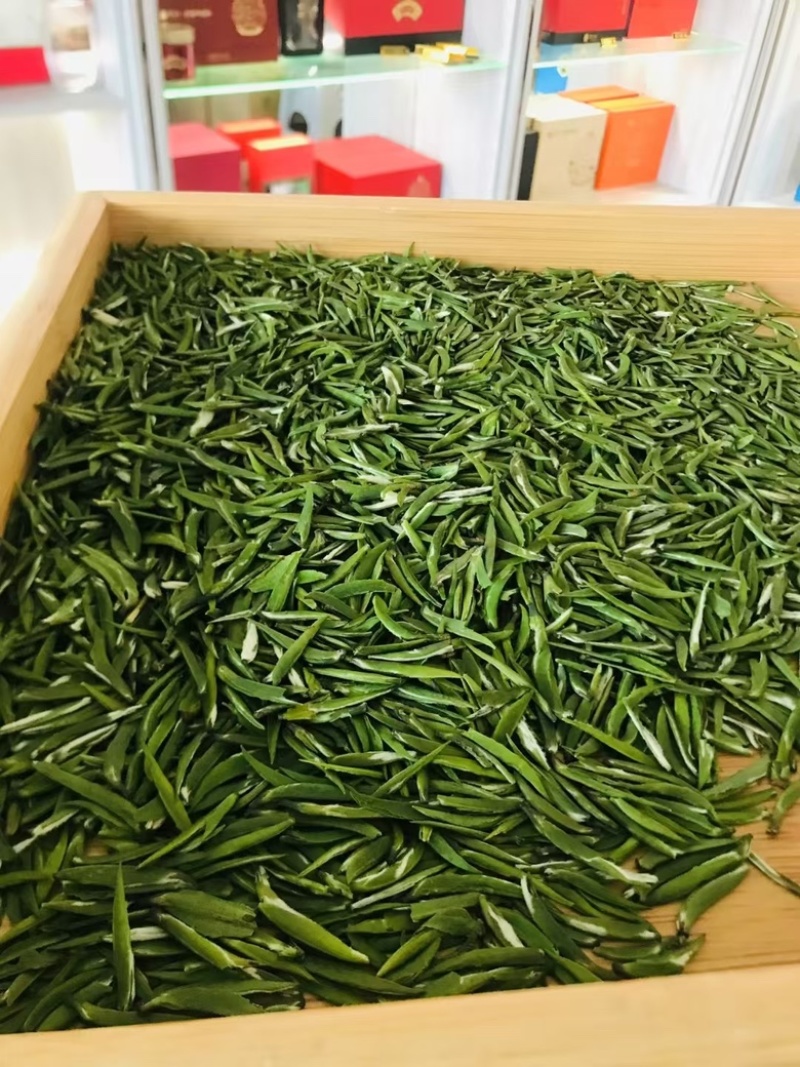 恩施高山特级雀舌