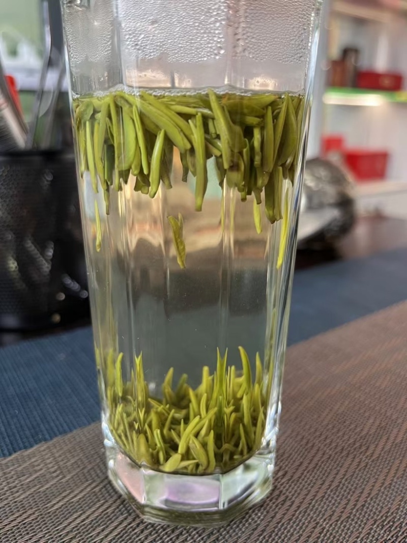 恩施高山特级雀舌