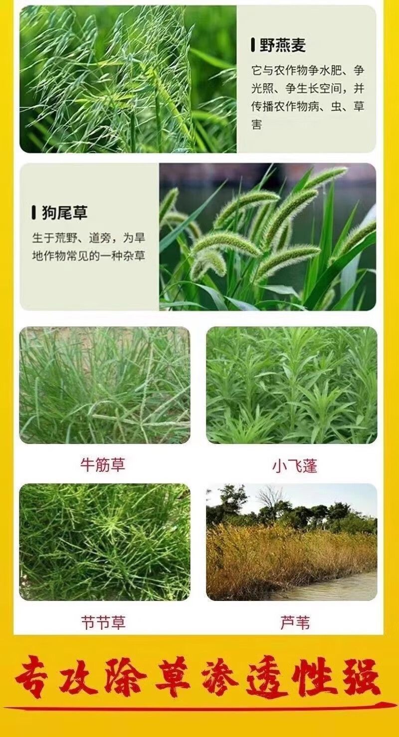 10斤三农精草铵膦铵盐小飞蓬牛筋草杀恶性杂草除草剂