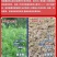 10斤三农精草铵膦铵盐小飞蓬牛筋草杀恶性杂草除草剂
