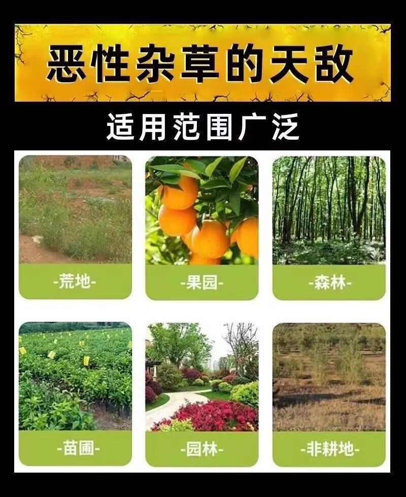 10斤三农精草铵膦铵盐小飞蓬牛筋草杀恶性杂草除草剂
