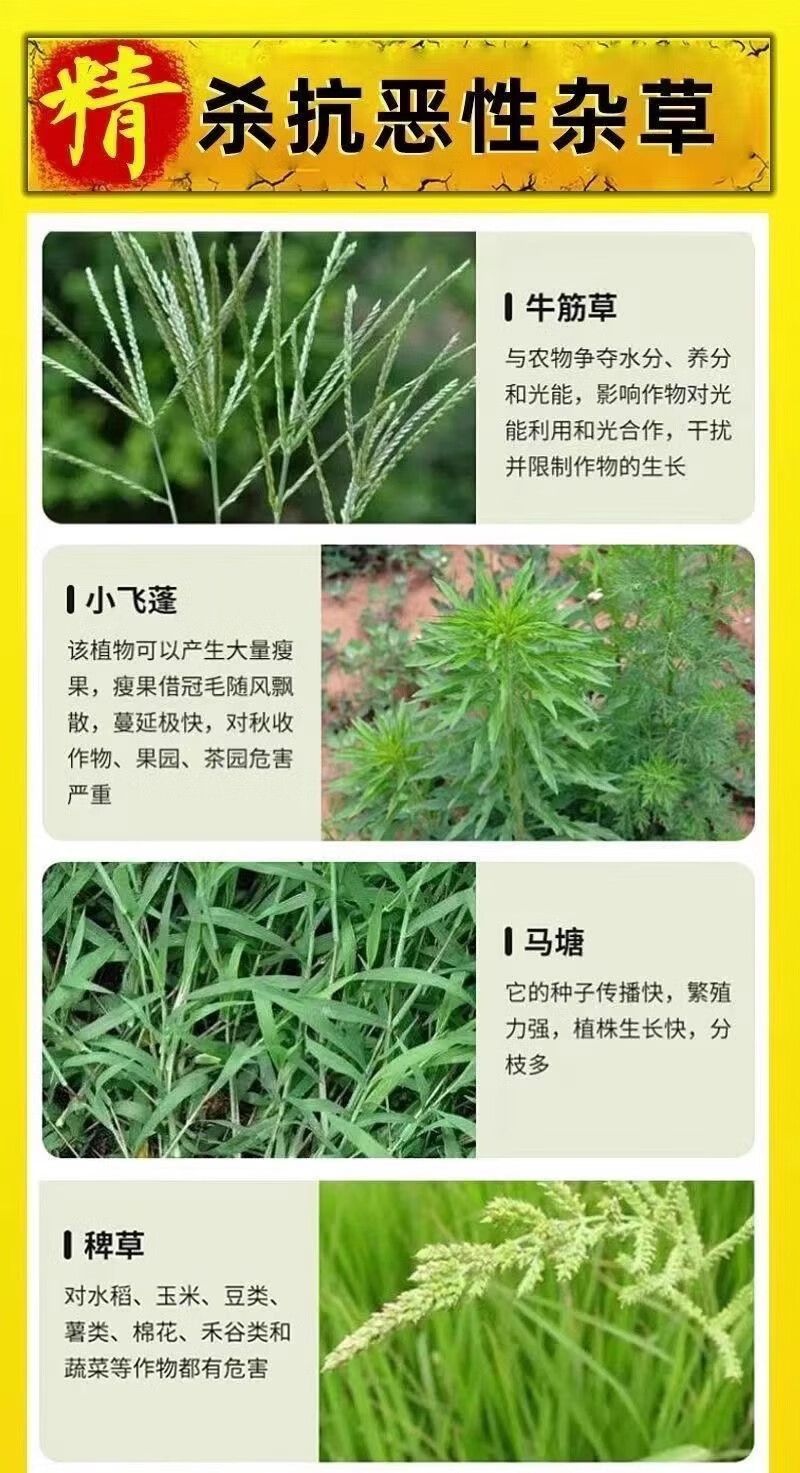 10斤三农精草铵膦铵盐小飞蓬牛筋草杀恶性杂草除草剂
