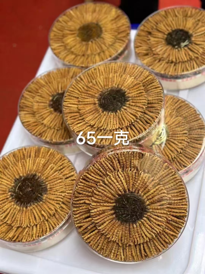 冬虫夏草货源充足，产地直发，诚信经营，欢迎客商来电