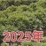 西瓜红济薯26商薯19白哈密紫罗兰薯