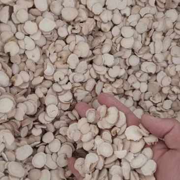 精品优质白芍片大量现货供应