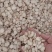 精品优质白芍片大量现货供应