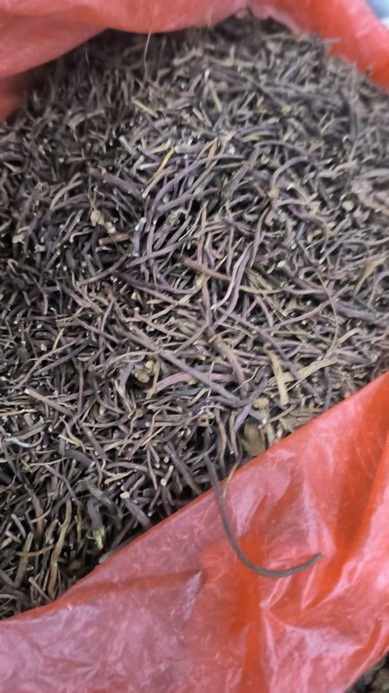 紫苑现货，一手货源，量大从优，规格齐全，价格可谈