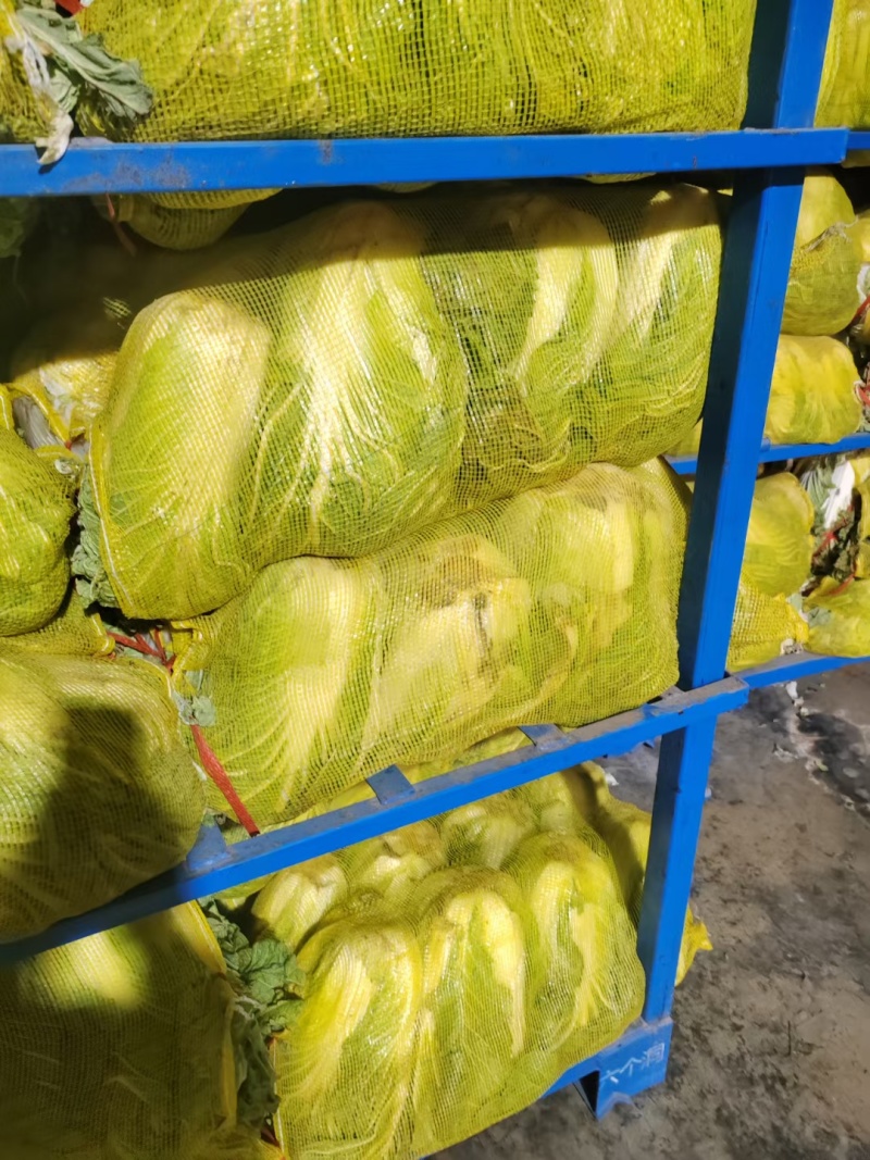 江苏黄心白菜无虫眼黑点不烧心烧边净菜上车装袋网袋纸箱都有