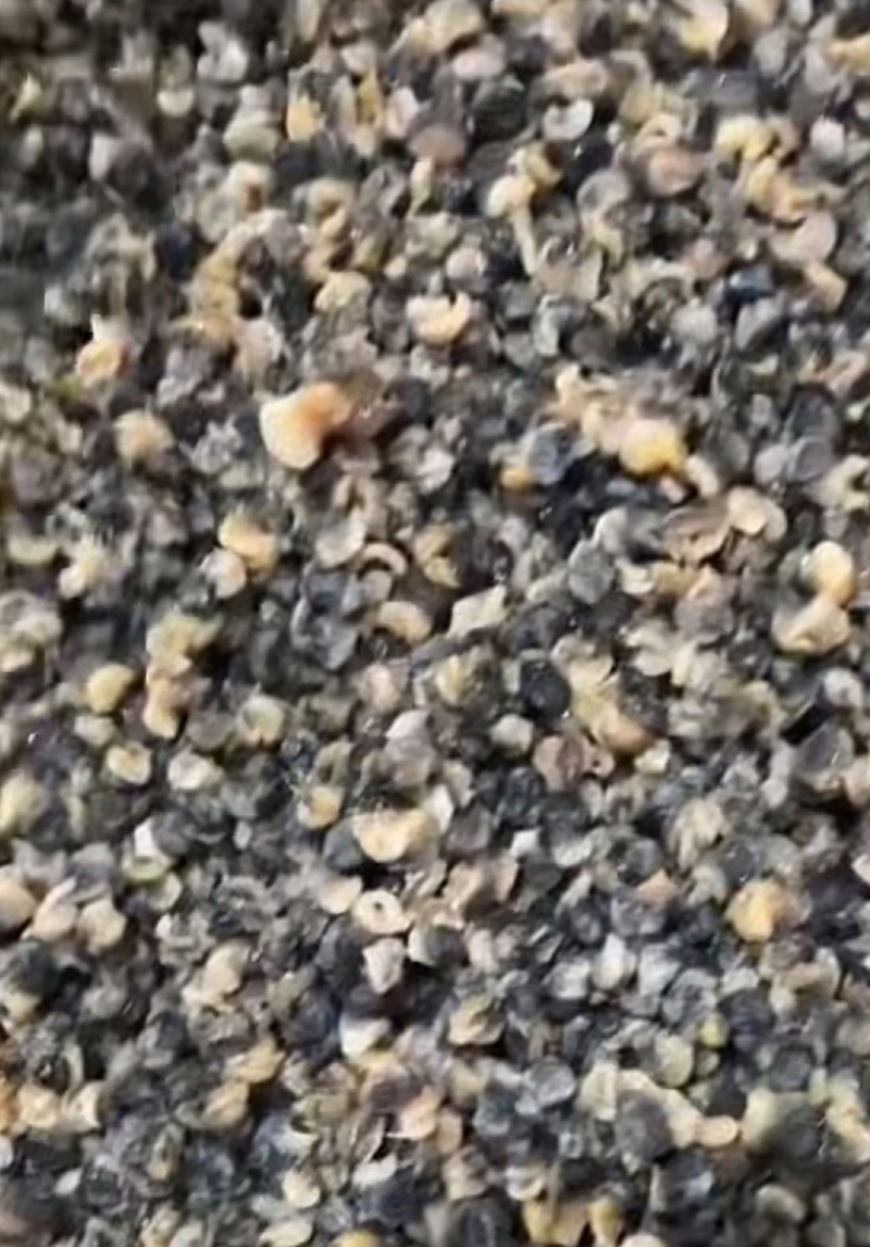 纯手工制作速冻螺蛳肉，大螺蛳肉和小螺蛳肉都有，需要随时联