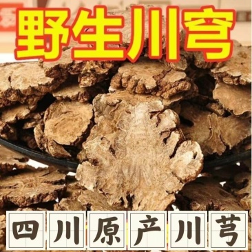 川芎中药材饮片四川无硫正品川穹片干货产地批发四物汤原料