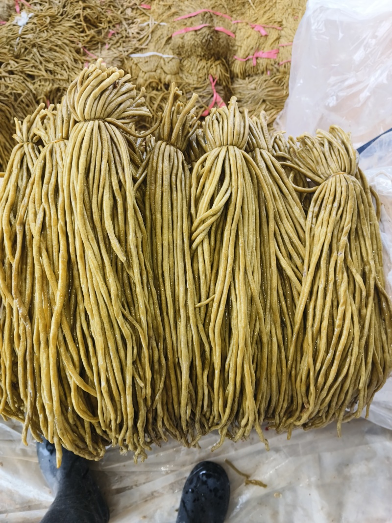 湖南酸豆角源头好货脆嫩条形好腌制厂带检测报告
