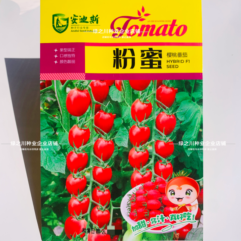 黄蜜粉蜜黑蜜小番茄种子无限生长型加甜多汁水果番茄种子
