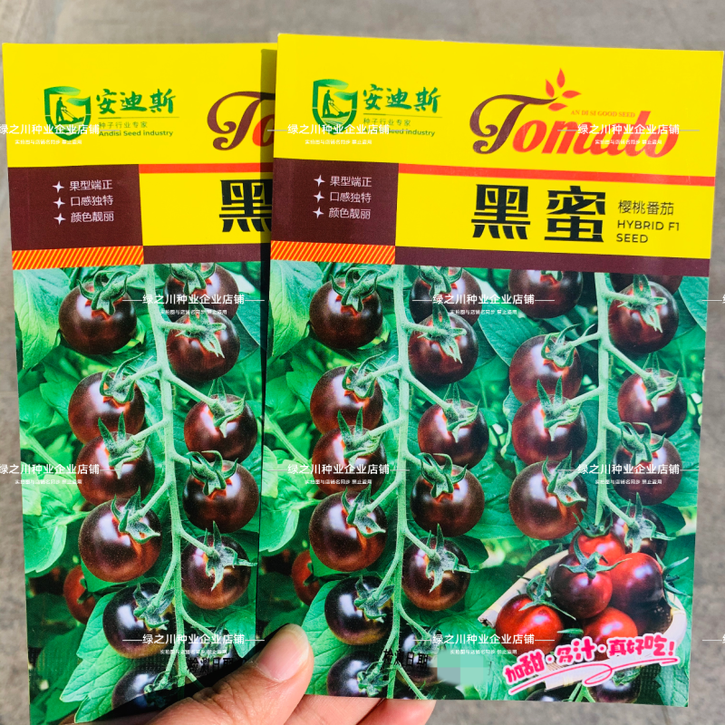 黄蜜粉蜜黑蜜小番茄种子无限生长型加甜多汁水果番茄种子