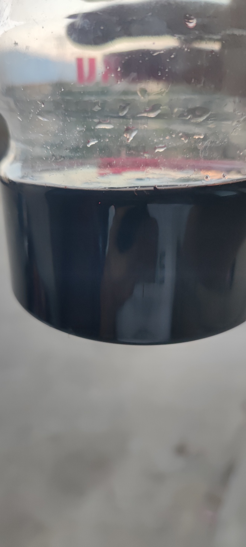 新鲜水果桑葚桑子黑桑椹桑葚汁泡酒泡茶应季水果