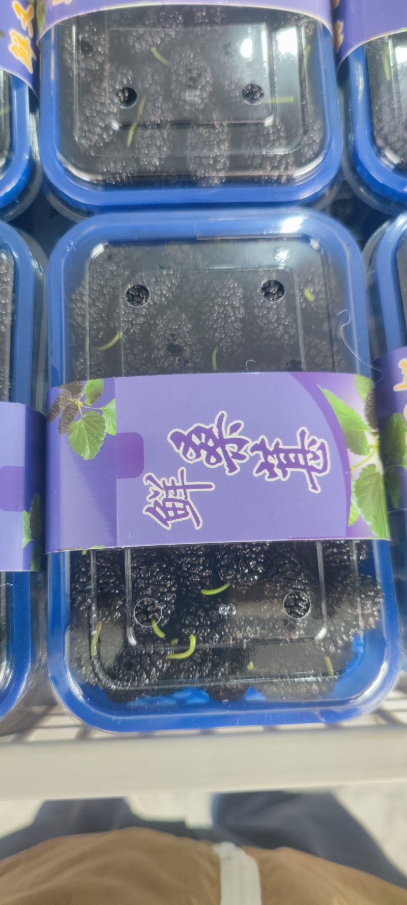 新鲜水果桑葚桑子黑桑椹桑葚汁泡酒泡茶应季水果