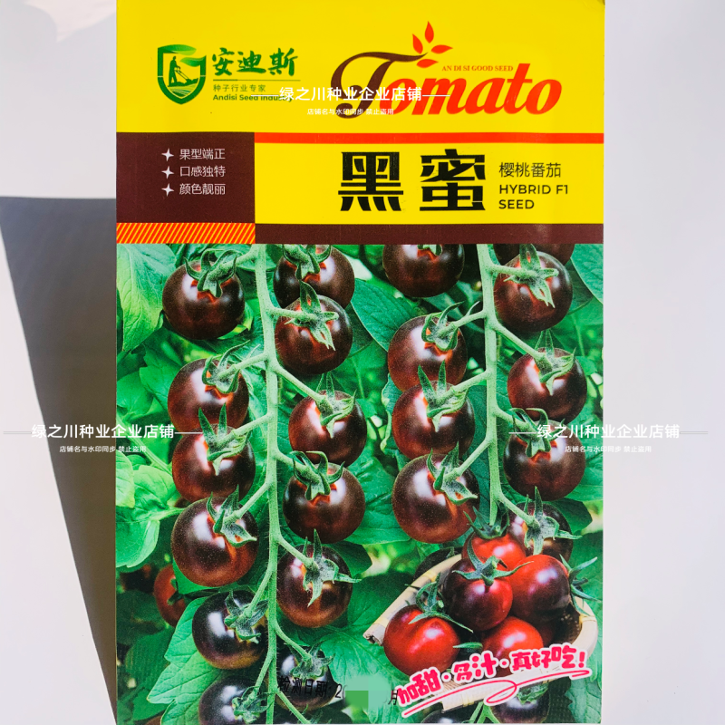 黑蜜樱桃番茄种子紫黑色小番茄种子养生水果番茄种子高秧型