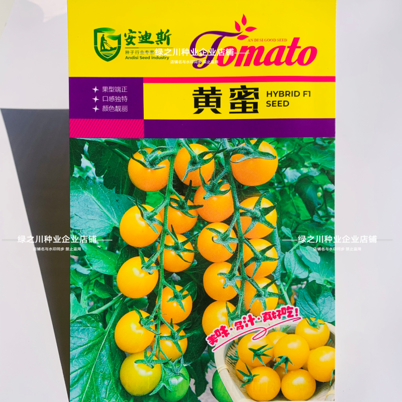 色泽靓丽黄蜜樱桃番茄种子黄色水果番茄种子口感好早熟硬度好