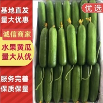 无刺水果黄瓜产地直供规格齐全支持各种商超市场电商