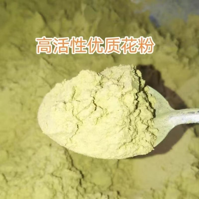 雪梨，丫梨花粉，精品细粉，活性高，授粉率高，深受各地种植