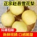 雪花梨，新鲜采摘发货，代发全国各地，诚信经营，需要梨的来
