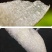 雪花梨，新鲜采摘发货，代发全国各地，诚信经营，需要梨的来