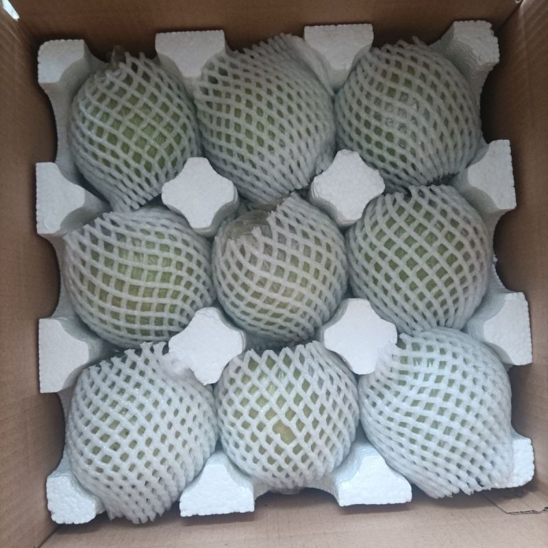 雪花梨，新鲜采摘发货，代发全国各地，诚信经营，需要梨的来