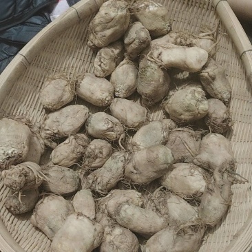 腌制大头菜