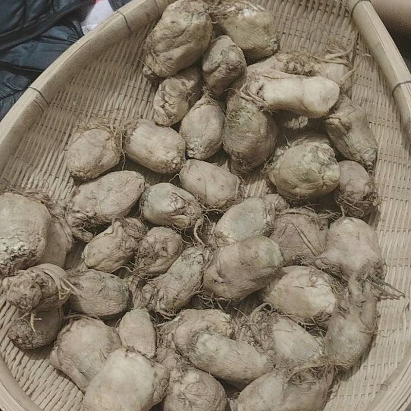 腌制大头菜