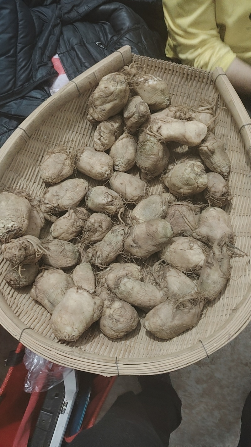 腌制大头菜