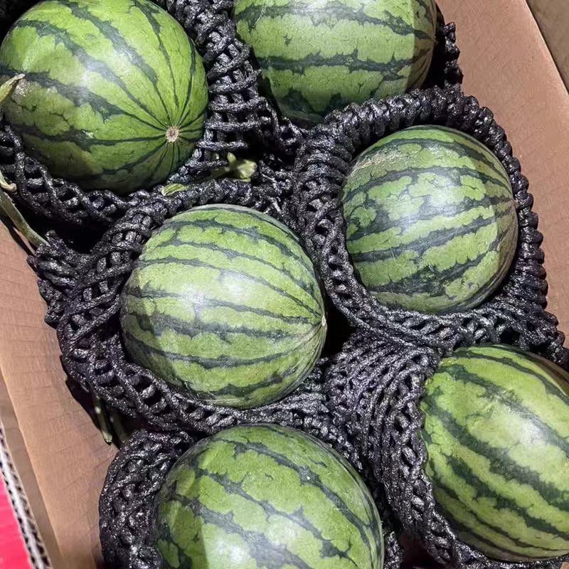 精品小吊瓜小西瓜小糖丸皮薄多汁可视频看货欢迎来电