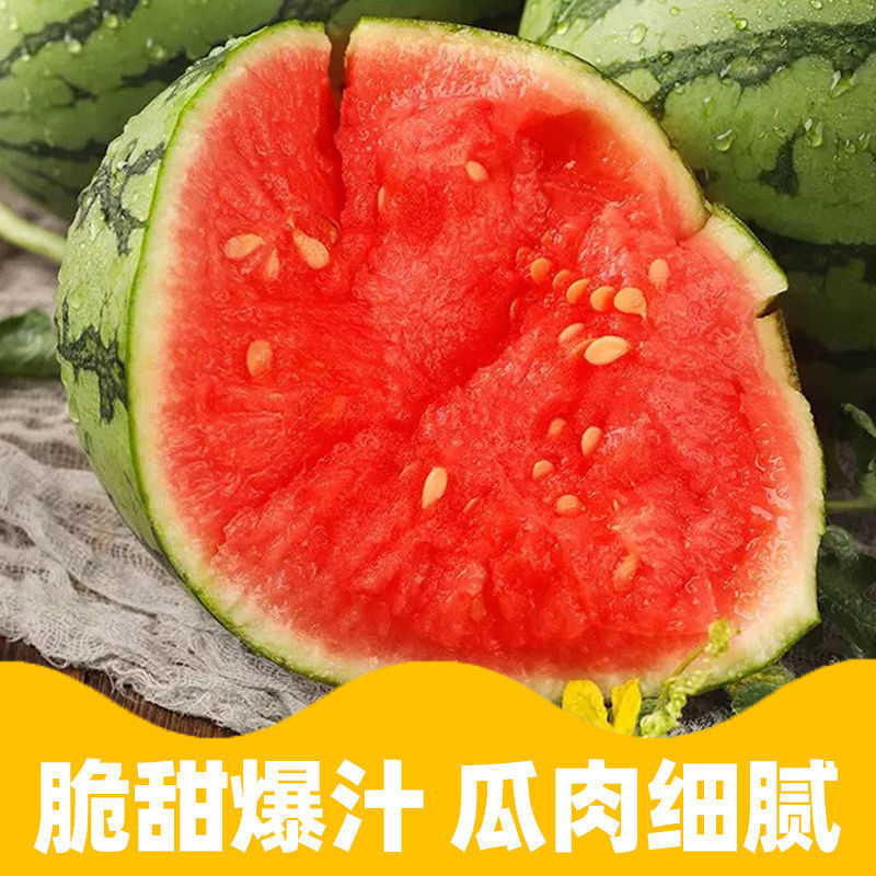 精品小吊瓜小西瓜小糖丸皮薄多汁可视频看货欢迎来电