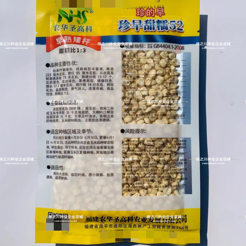 珍的早珍早52甜糯玉米种子矮杆早熟大棒鲜食粘糯香甜非转