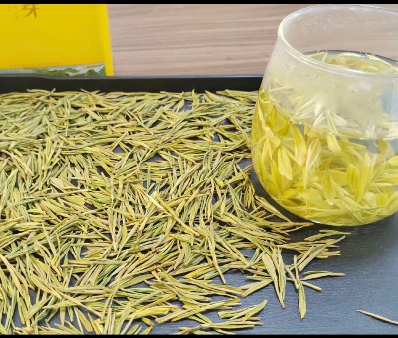 黄金芽