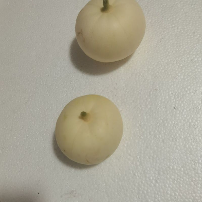 精品小白瓜双健甜瓜大量供应可视频看货欢迎来电采购
