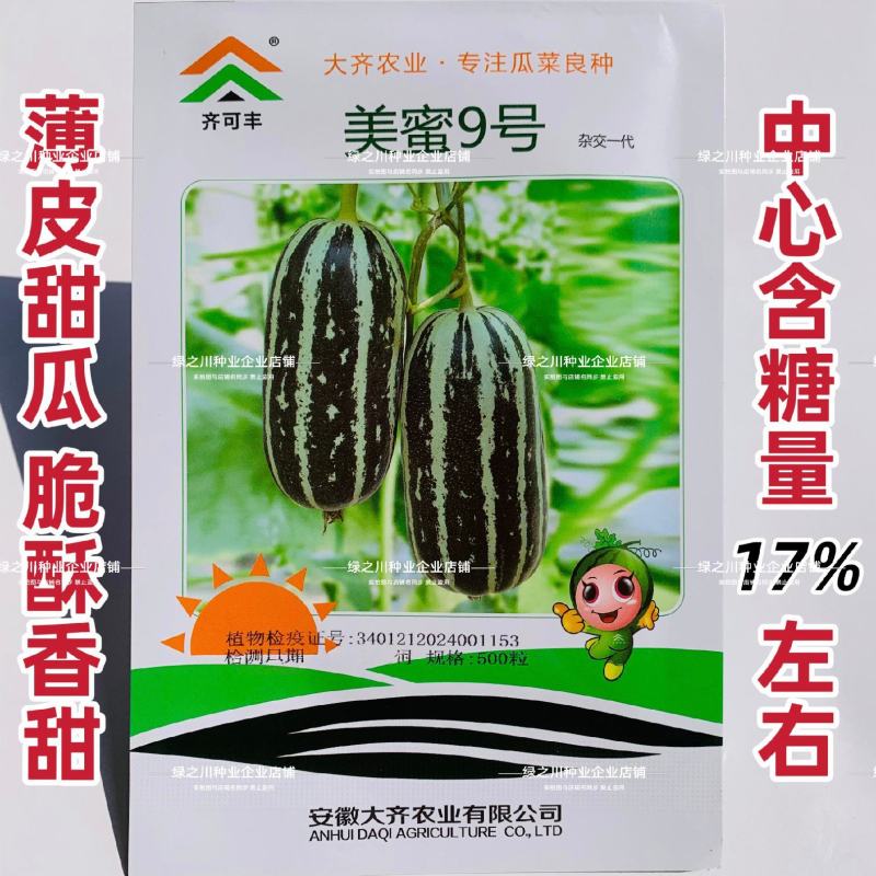 美蜜9号甜瓜种子酥脆香甜薄皮甜瓜种籽博洋9类型甜瓜香瓜籽