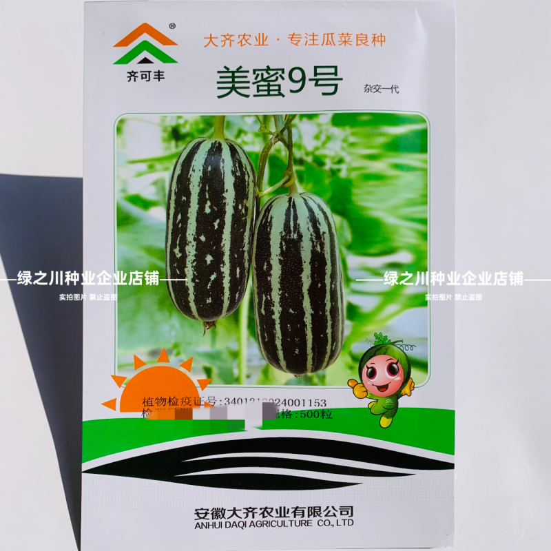 美蜜9号甜瓜种子酥脆香甜薄皮甜瓜种籽博洋9类型甜瓜香瓜籽