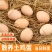 正宗农家散养土鸡蛋新鲜绿壳乌鸡蛋混合装儿童孕妇营养蛋整箱批发