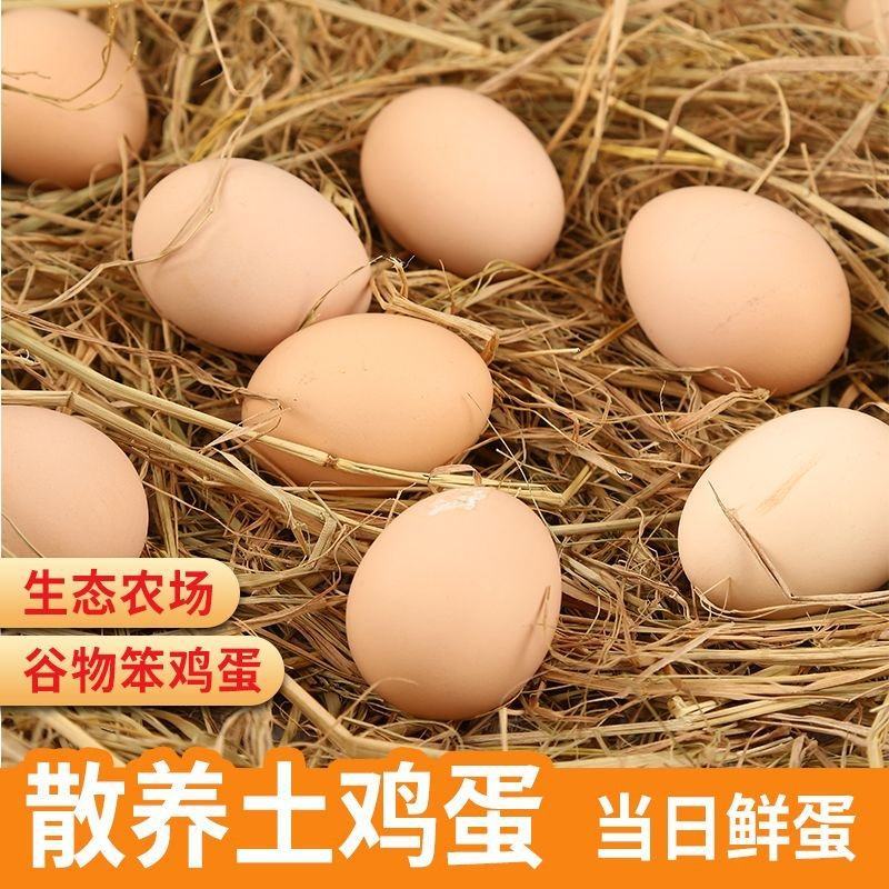 正宗农家散养土鸡蛋新鲜绿壳乌鸡蛋混合装儿童孕妇营养蛋整箱批发
