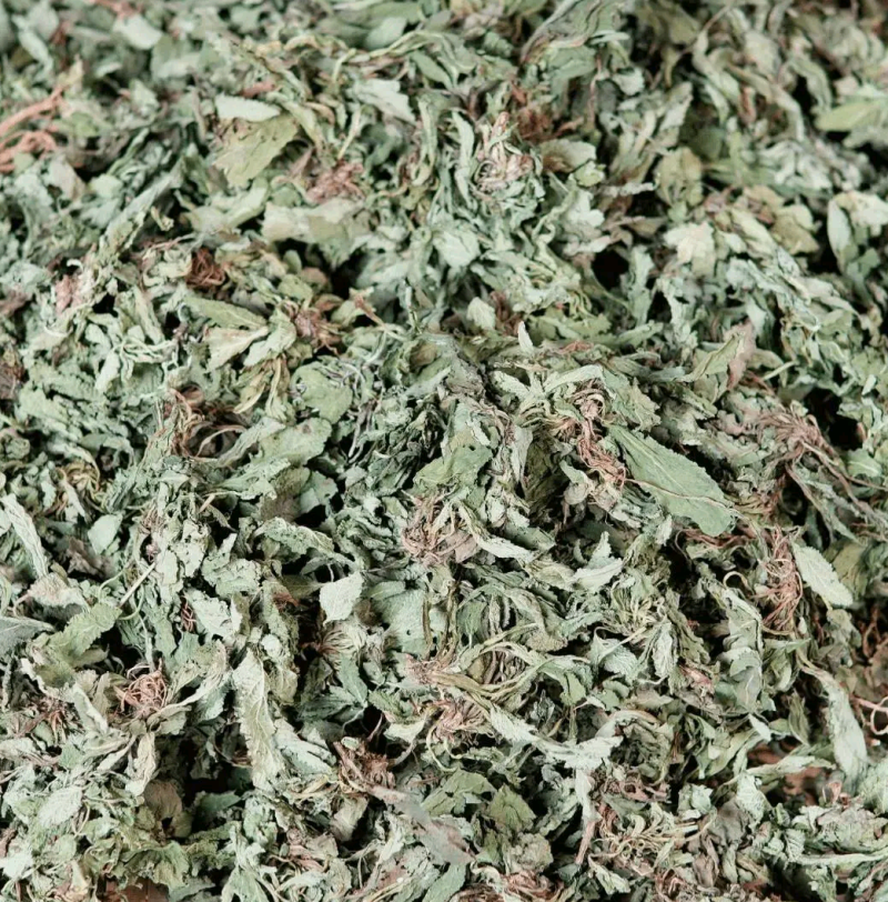 荔枝草別名蛤蟆皮草