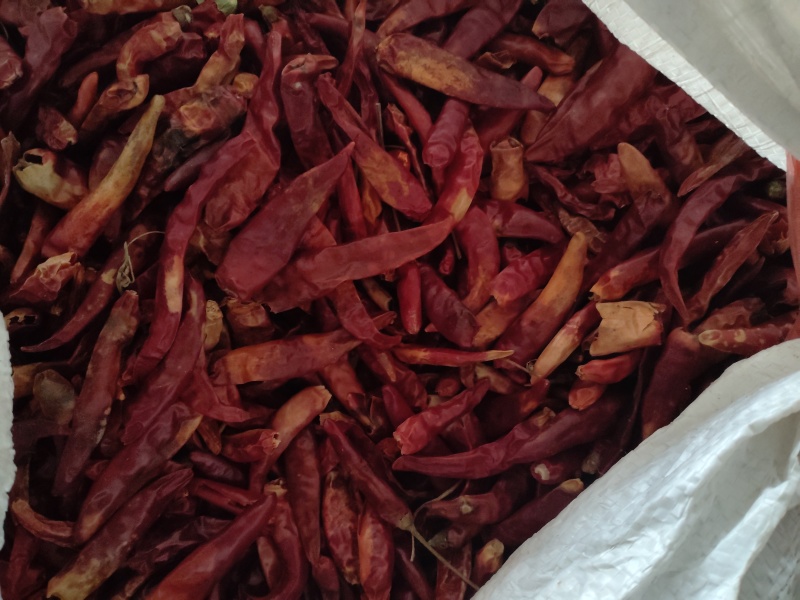 新一代打粉干辣椒一件起批物流包邮