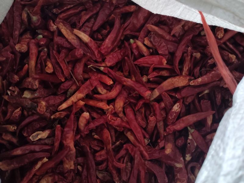 新一代打粉干辣椒一件起批物流包邮